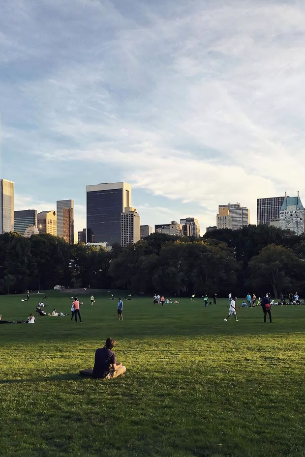 12 Scenic Things to Do in New York Central Park for a Relaxing Day Out