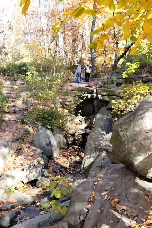 12 Scenic Things to Do in New York Central Park for a Relaxing Day Out