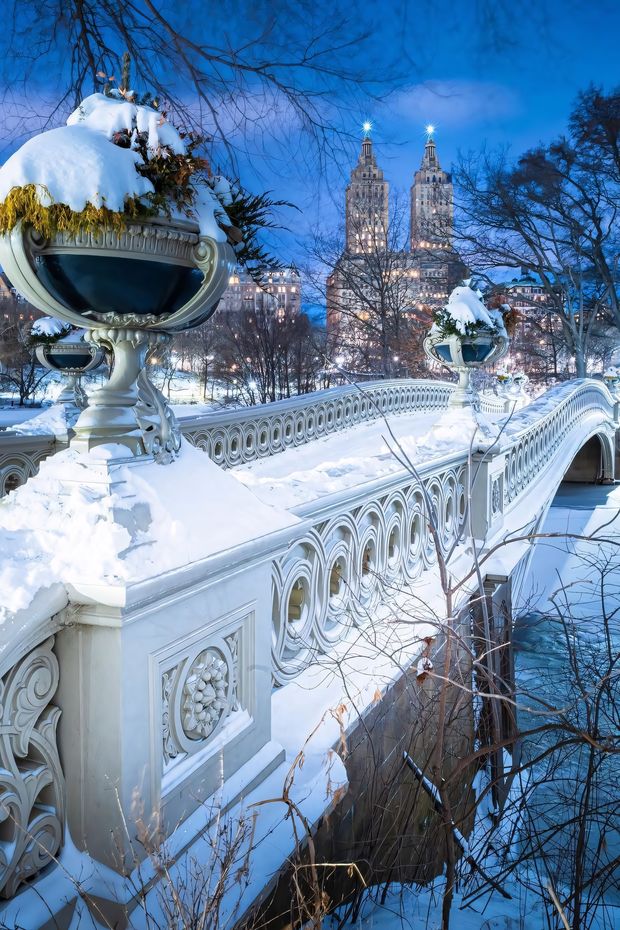 12 Scenic Things to Do in New York Central Park for a Relaxing Day Out