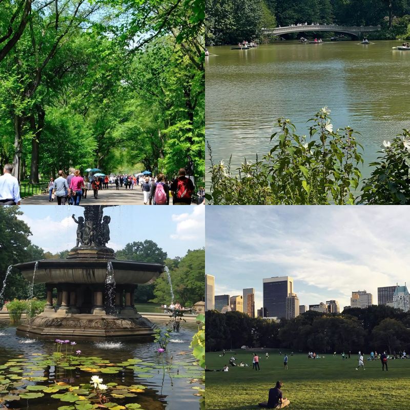 Things to do in new york central park