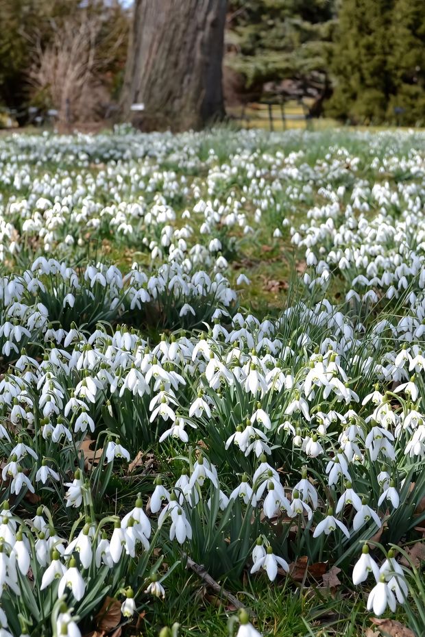 13 Beautiful Things to Do in NYC Spring for a Perfect City Break