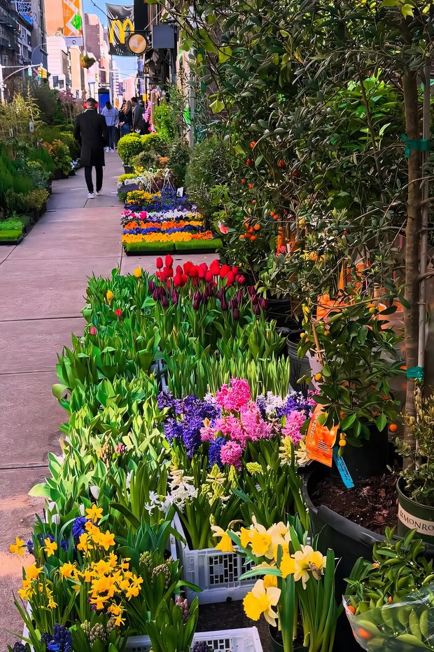 13 Beautiful Things to Do in NYC Spring for a Perfect City Break