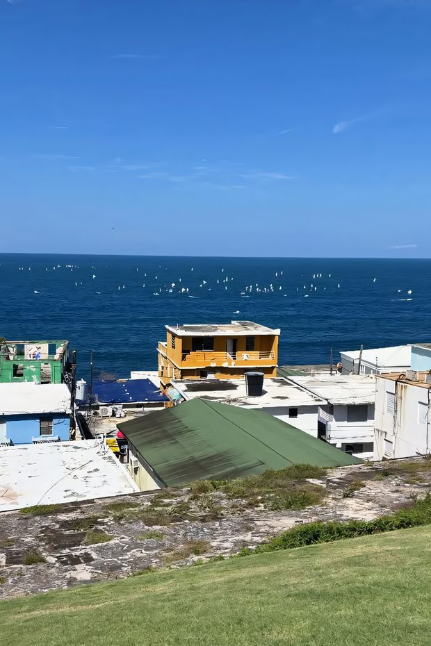 13 Vibrant Things to Do in Puerto Rico for an Amazing Caribbean Adventure