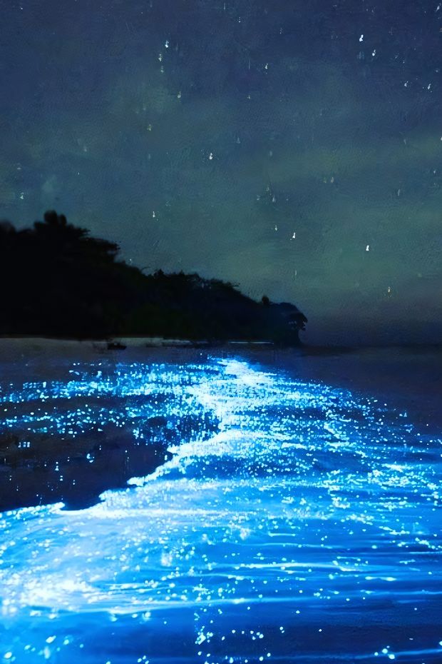 13 Vibrant Things to Do in Puerto Rico for an Amazing Caribbean Adventure