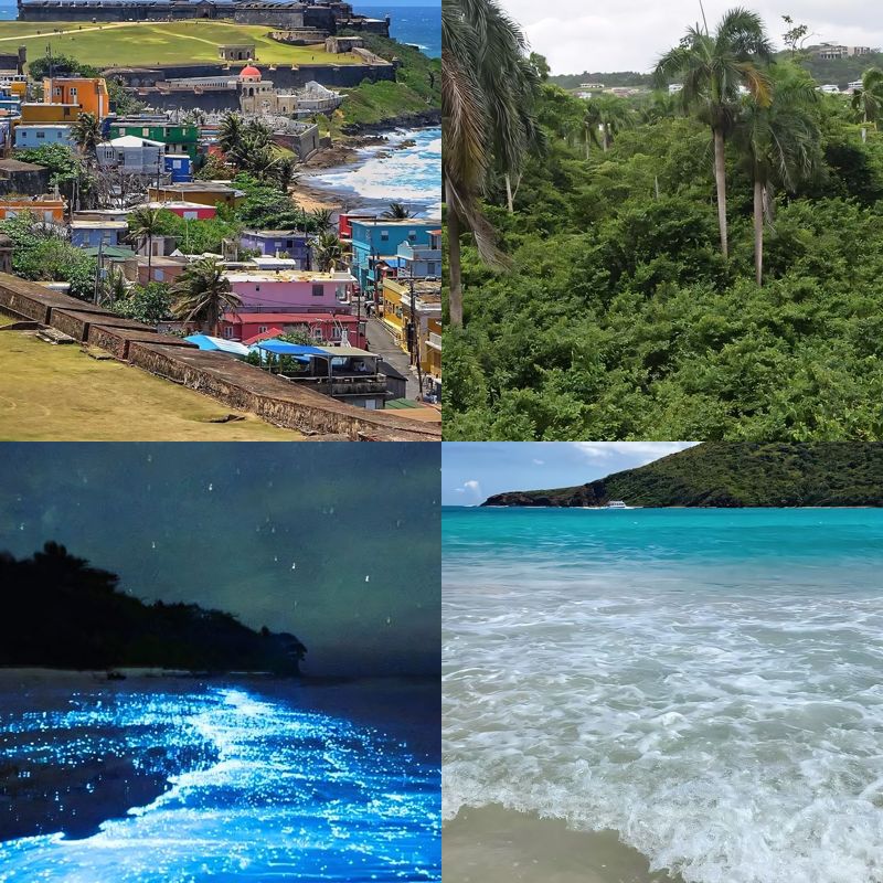 Vibrant things to do in puerto rico